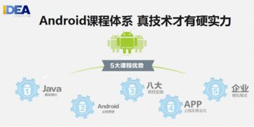 石家莊軟件開發速成班 聚焦教育軟件開發的高效路徑